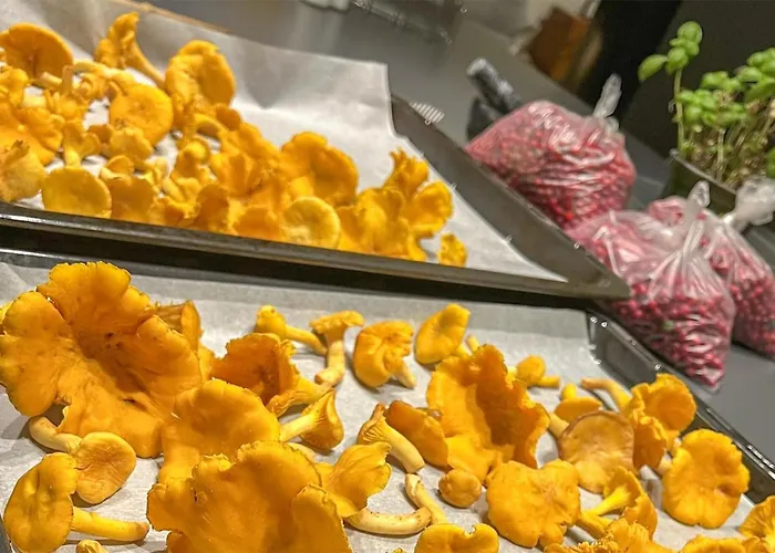 4 Bedroom Gorgeous In Edland Ferienhaus Vågsli